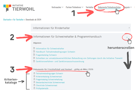Die Dokumente sind relativ „versteckt“ unter Downloads auf der Seite der ITW zu finden © Screenshots ITW