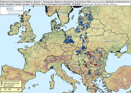 Mit Bosnien-Herzegowina und Kroatien sind weitere Länder in Europa von der ASP betroffen. Karte: FLI, Stand 23.06.23, Die Ausbrüche in Kroatien sind noch nicht markiert.