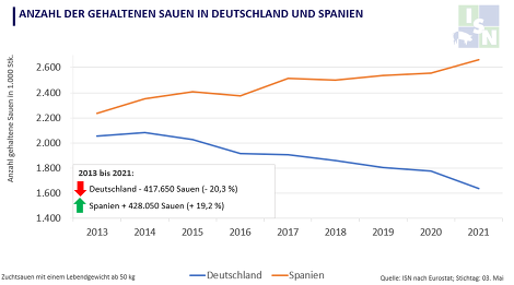Seit 2013 hat die Anzahl der gehaltenen Sauen in Deutschland deutlich abgenommen, im Gegensatz dazu baut Spanien in gleichem Maß seinen Sauenbestand weiter aus