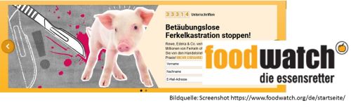 "Betäubungslose Ferkelkastration stoppen!" heißt die aktuelle Kampagne von Foodwatch