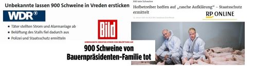 Die Presse berichtet breit über die Geschehnisse auf dem Betrieb Röring