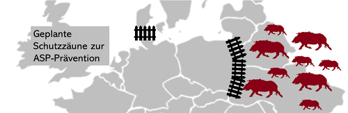 Geplante Grenzzäune zur ASP-Prävention