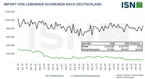Dei Zahl der Ferkelimporte lag im ersten Quartal 2026 3,5 % über dem Niveau des Vorjahres (© ISN, Destatis, Thünen Institut)