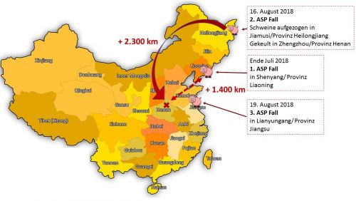 Verteilung der drei bestätigten ASP-Ausbrüche bei Hausschweinen in China