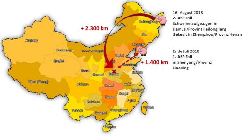 Infizierten Schweine 2.300 km quer durch China transportiert