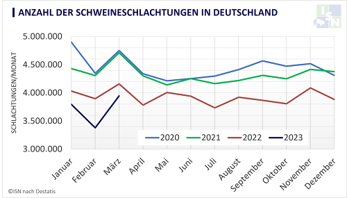 Die Schlachtungen liegen im ersten Quartal 2023 deutlich unter dem Vorjahresniveau