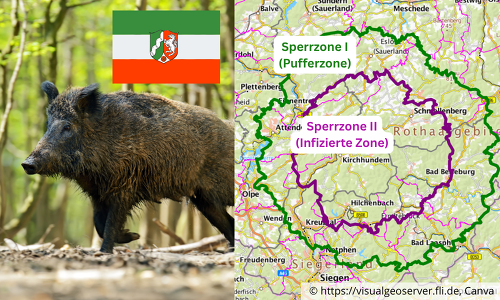 Die neue Pufferzone (Sperrzone I) ist ein rund zehn Kilometer breiter Streifen um die bislang infizierte Zone, in der verstärkt gejagt werden soll, um die Wildschweindichte zu reduzieren (© https://visualgeoserver.fli.de, Canva)