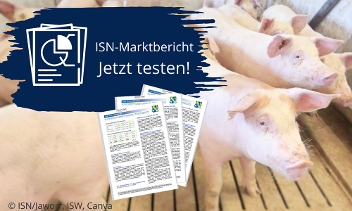 Notierungen, Markteinschätzungen und Analysen -  4x pro Woche für Sie zusammengestellt!