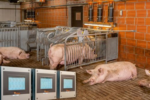 Der Controller 510pro mit Touchdisplay lässt sich flexibel im Stallgang oder im Büro anbringen – empfindliche Bauteile sind damit vor den rauen Bedingungen im Stall geschützt.
© Big Dutchman