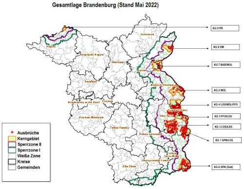 In den Kerngebieten 1 und 3 wurden seit Oktober keinen neuen ASP-Fälle festgestellt ©MSGIV