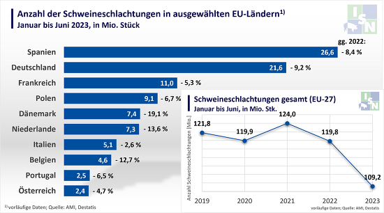 Von Januar bis Juni kamen in den meldepflichtigen Schlachtereien der EU insgesamt 109,2 Millionen Schweine an die Haken, was einem Minus von 10,6 Millionen Stück oder 8,9 % gegenüber dem ersten Halbjahr 2022 entspricht.