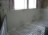 Agravis Desintec Erazer X