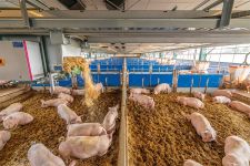 Mühsame Handarbeit war gestern: Stallhelfer OlliGes verteilt Stroh
