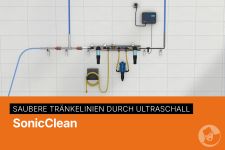 Sonic Clean - saubere Tränkelinien durch Ultraschall
© Big Dutchman