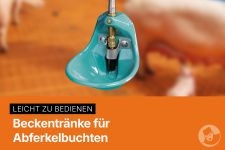 Beckentränke für Abferkelbuchten
© Big Dutchman