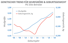 Genetische rTrend für Wurfgröße und Geburtsgewicht - PIC Elite Betriebe