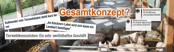 Kompromiss bei Tierhaltungskennzeichnung zu Lasten der Schweinehalter? – Wo ist das Gesamtkonzept?