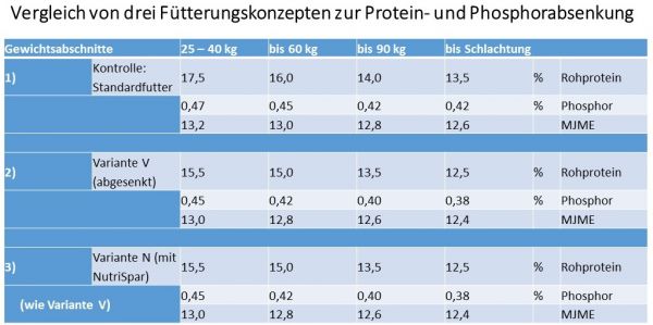 Vergleich von Drei Fuetterungskonzepten Zur Protein  Und Phosphorabsenkung
