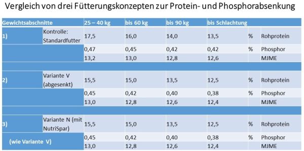 Vergleich von Drei Fuetterungskonzepten Zur Protein  Und Phosphorabsenkung