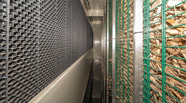 Rechts befindet sich die Biofilterwand, links der Tropfenabscheider.