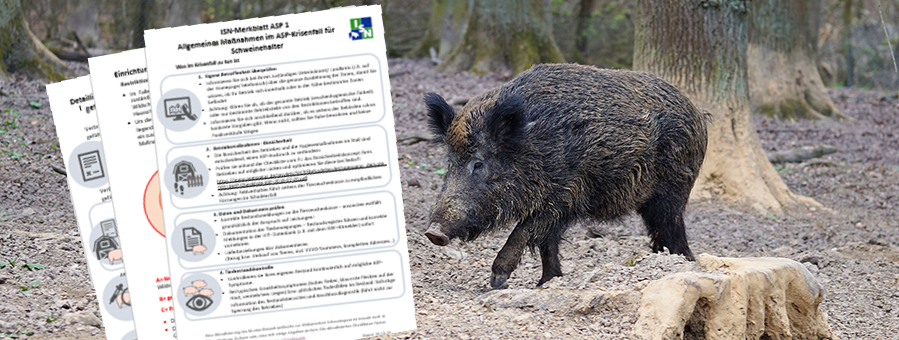 schweine.net - Schweinepest-Verordnung erneut angepasst
