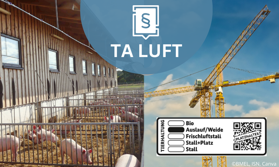 Außenklima und TALuft Die Quadratur des Kreises?