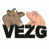 Vezg logo